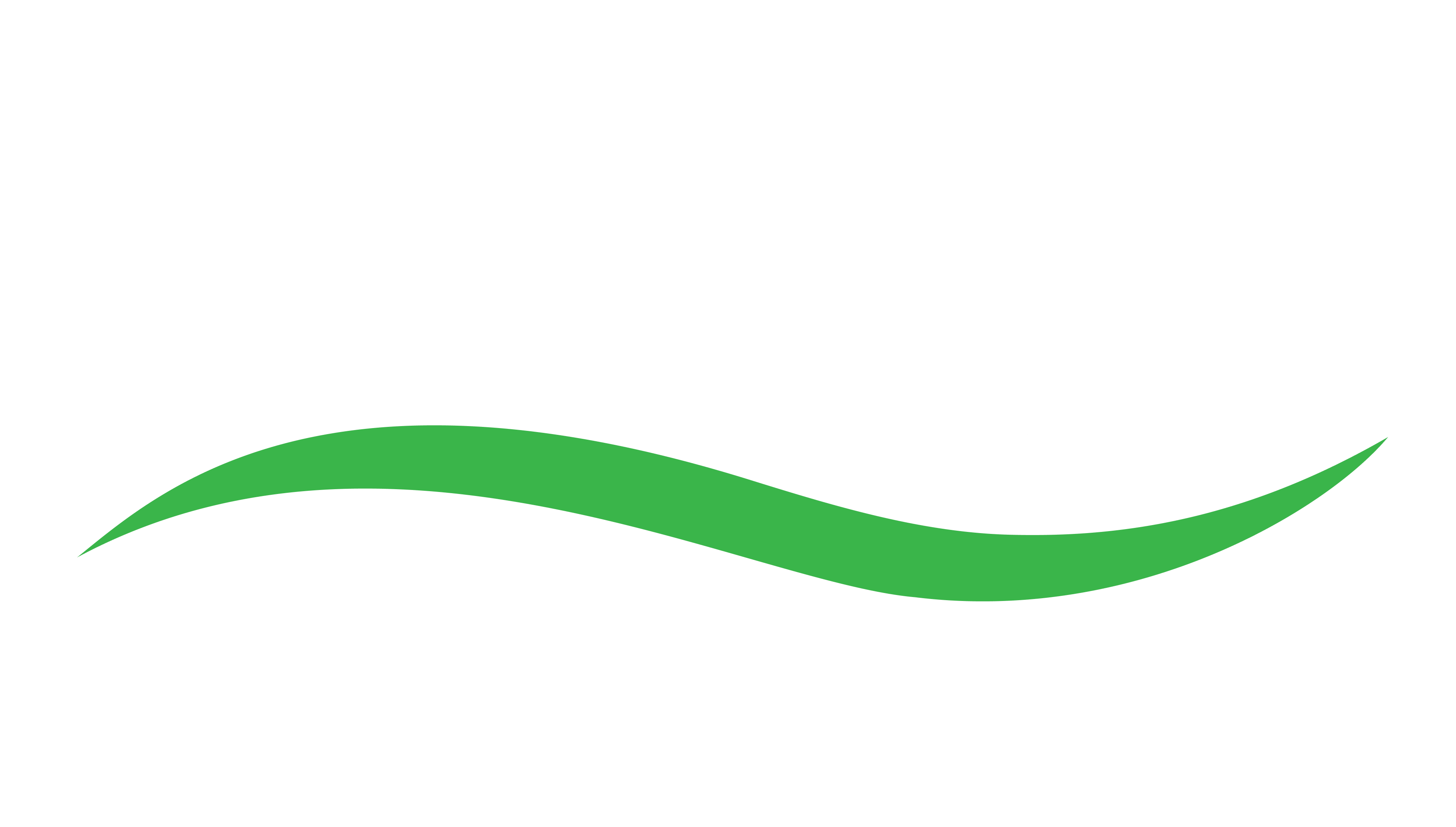 AMS Logo